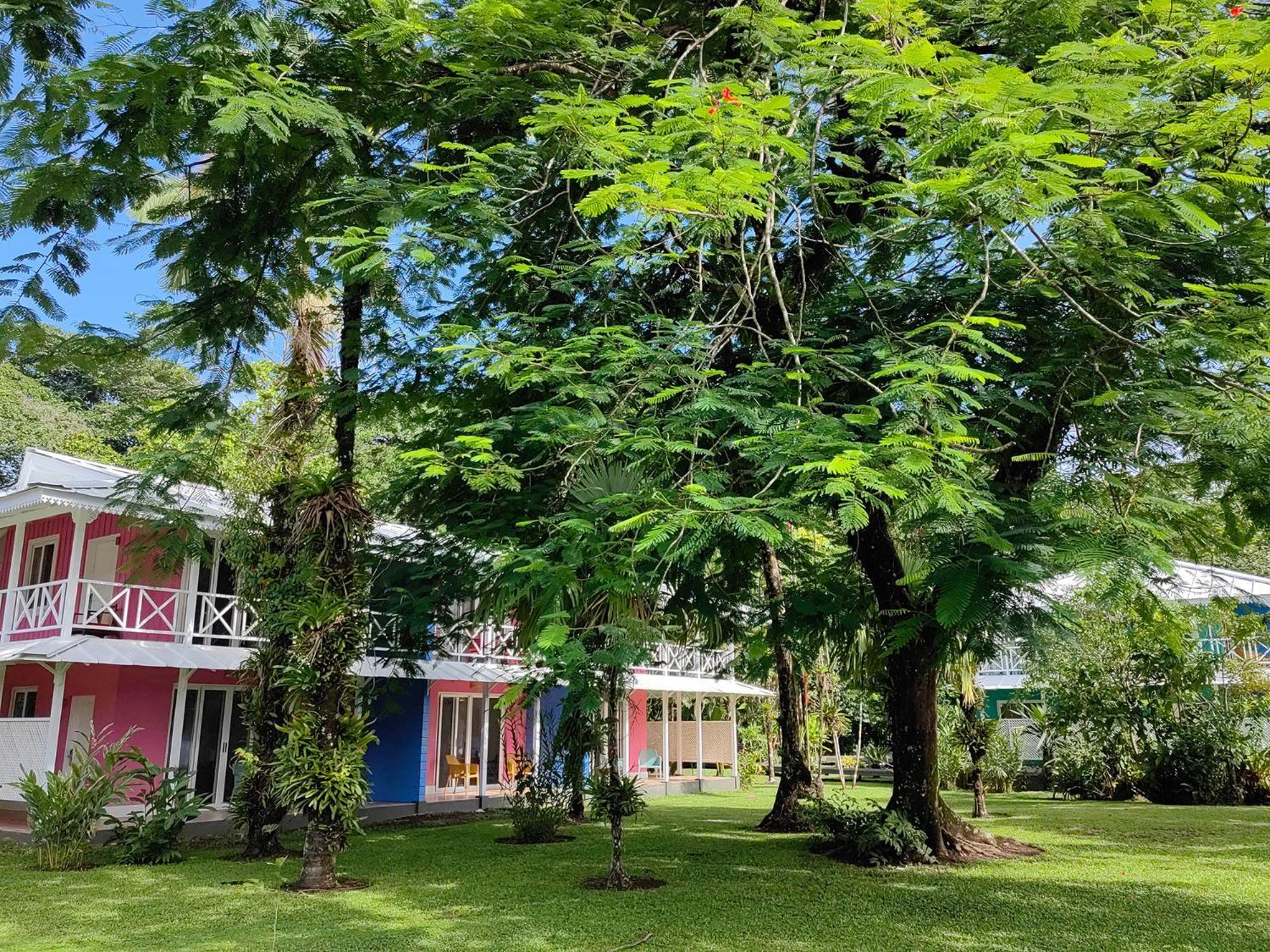 Tortuga Lodge & Gardens By Boeena Tortuguero Extérieur photo